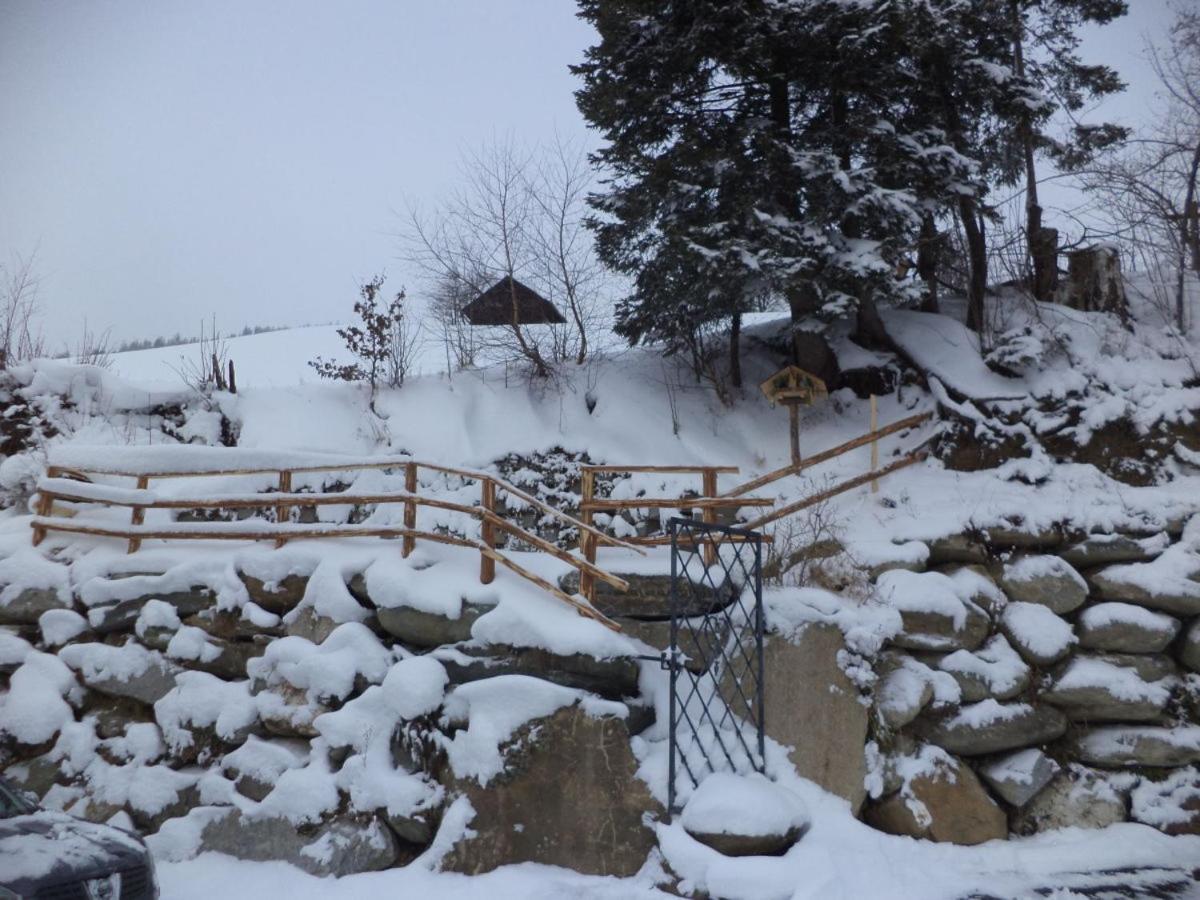 Panorama Ferienhaus Ematberg Mit Bergblick Und Sauna 니에데른실 외부 사진